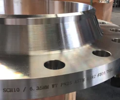 stainless-steel-weld-neck-flanges